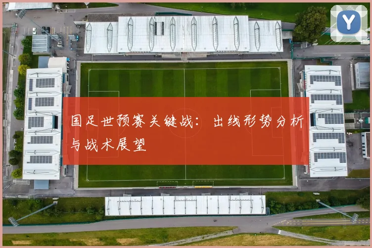 国足世预赛关键战:出线形势分析与战术展望