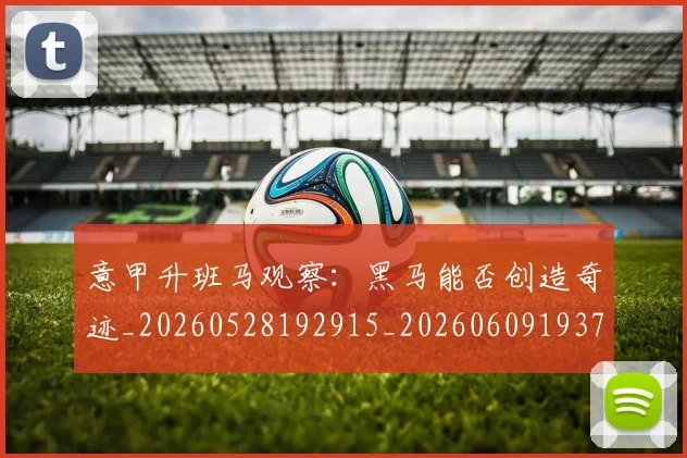 意甲升班马观察：黑马能否创造奇迹_20260528192915_20260609193702